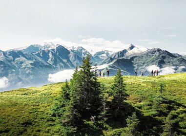 Long-distance hiking trail in the Pinzgau | © Harry Liebmann