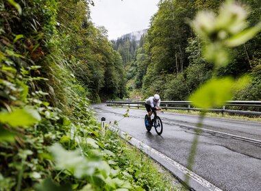 Radfahrer im Wald beim IRONMAN 70.3 | © gettyimages